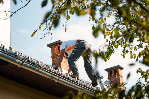 Quick and Trustworthy Emergency Roof Repair Services in River Road, OR